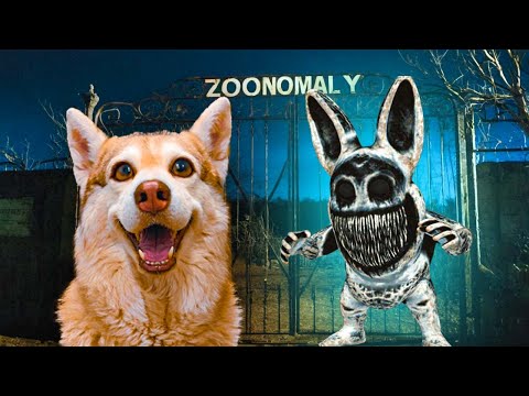 Видео: НИКОГДА НЕ ВЕРЬТЕ ЗООНОМАЛЯМ! ОНИ БРЕХУНЫ!! (Хаски Бублик) Говорящая собака