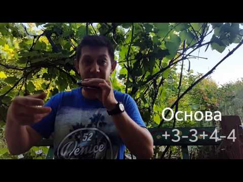 Видео: Блюз из четырех нот. Урок № 23. Часть 3   How to play the blues on the harmonica. Part 3