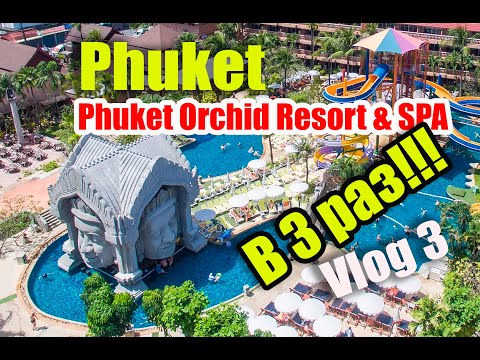 Видео: Обзор Phuket Orchid Resort & SPA. Спустя 2 года и в третий раз в Орхиде.