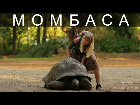 Видео: Что посмотреть в Момбасе. Гид от Орел и Решка | Райская Кения – Момбаса