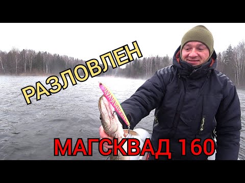 Видео: Спиннинг в декабре || Jackall Mag Squad 160SP разловлен!!!!