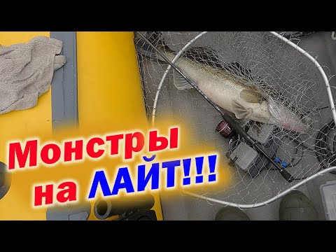 Видео: ВОТ ЭТО ПОКЛЁВКИ И ВЫВАЖИВАНИЕ!!! ЖЁСТКИЙ ТЕСТ СПИННИНГА CF Arion ASRE802LT 4—16гр.!!!