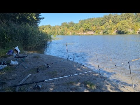 Видео: РЫБАЛКА НА ДОНКИ НА РЕКЕ 🌍