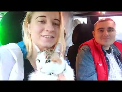 Видео: Halloween 2025 🎃 "Назад в будущее - Ремейк"