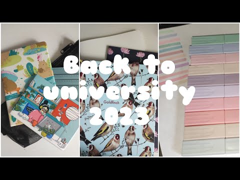 Видео: Back to university 2023 | Мои покупки канцелярии к 1 курсу университета +распаковка с Wildberries.