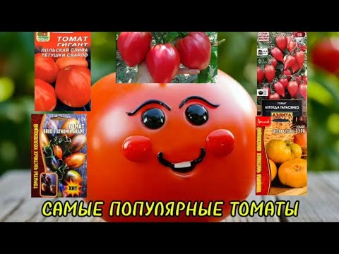 Видео: ЭТИ ТОМАТЫ ЛЮБЯТ ВСЕ! САМЫЕ ПОПУЛЯРНЫЕ СОРТА!