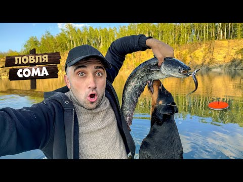 Видео: Ловля сома на карьере. 24-Часа На кружки и баклажки