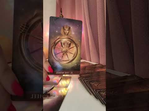 Видео: ✨Край или пауза на отношенията с намисленият човек ✨#ТАРО #ТАРОКАРТИ