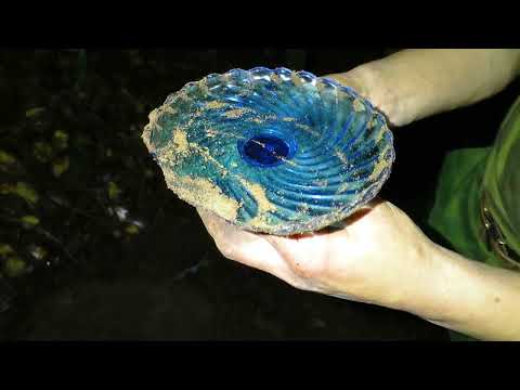 Видео: Коп в лесу от 2019г. Александр(реставратор) 270