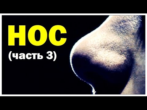 Видео: Галилео. Нос (часть 3)