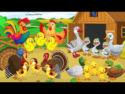 Видео: Заняття на тему: "На пташиному дворі"