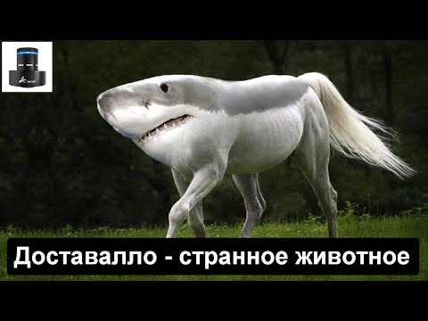 Видео: ДОСТАВАЛЛО для виброколонки