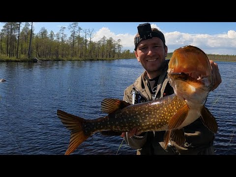 Видео: Нашёл щучье логово: Второй день рыболовного путешествия.