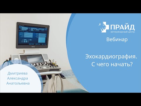 Видео: Эхокардиография  С чего начать