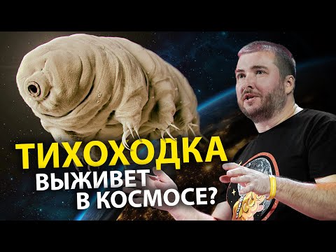 Видео: Чего боится даже тихоходка? Ученые против мифов 20-6 | Денис Туманов