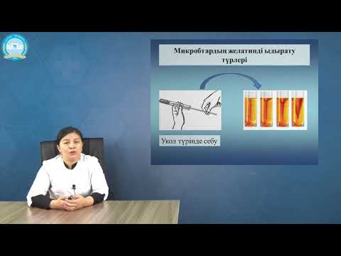 Видео: Микробтардың биохимиялық қасиеттері