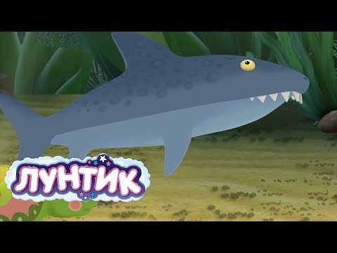 Видео: Лунтик | Пруд 🐬🐳 Сборник мультфильмов для детей