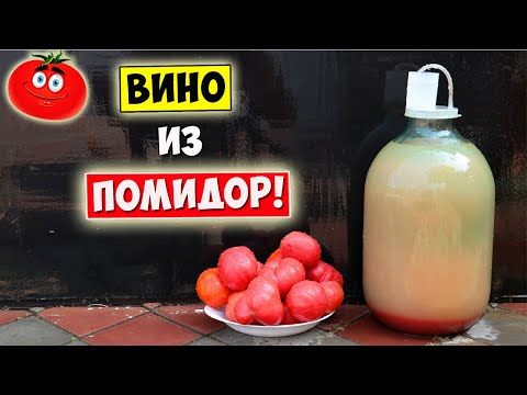 Видео: ВИНО из ПОМИДОР / Оригинально и Вкусно / Простой рецепт / Tomato Wine
