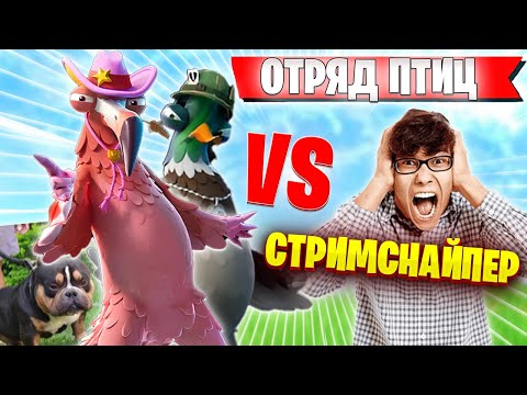Видео: ВОЛОДЯ СОБРАЛ ОТРЯД ПТИЦ В РАНКЕДЕ ДЛЯ БОРЬБЫ ПРОТИВ СТРИМСНАЙПЕРОВ | Володя kxrvinho fortnite
