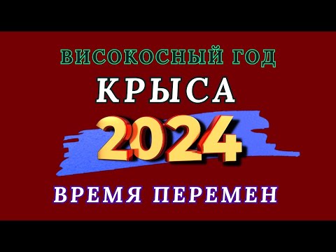 Видео: Крыса - Китайский гороскоп 2024 года. Високосный год дракона 2024