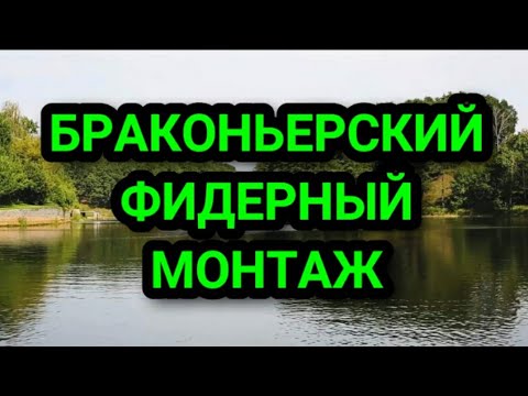Видео: Браконьерский фидер. Как привязать три крючка на фидерную оснастку, чтобы они не путались.