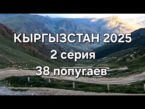 Видео: Кыргызстан 2025. 2 серия. 38 попугаев 