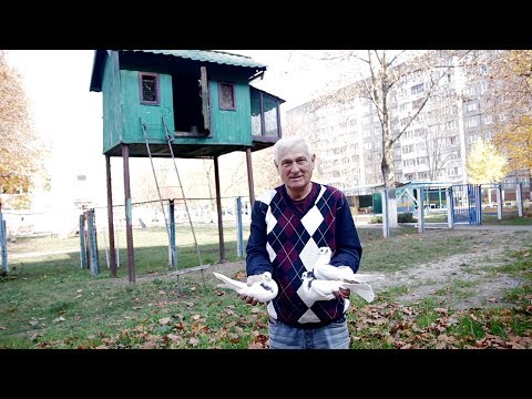 Видео: Чубатые гривуны Николая Борисенко. Гомель 2019.