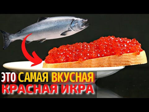 Видео: Топ 10 Самых Вкусных Видов Икры | Самая Вкусная Красная Икра | Как Выбрать Красную Икру