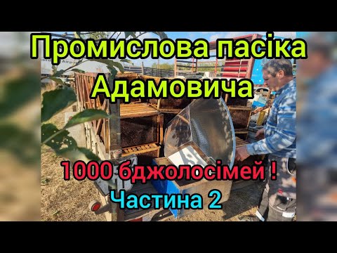 Видео: Пасіка Адамовича 1000 + сімей !  Частина 2