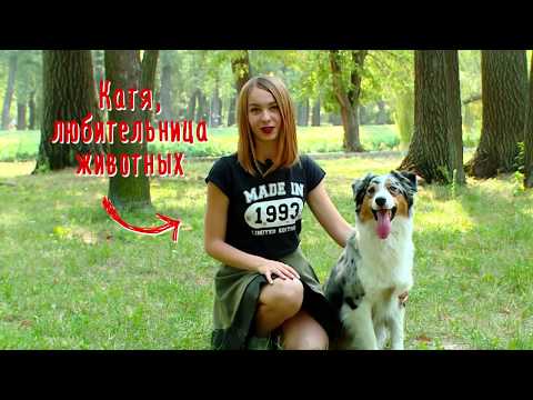 Видео: Мой питомец: аусси