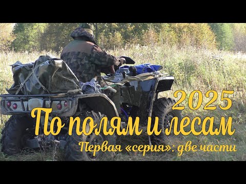 Видео: По полям и лесам - 2025