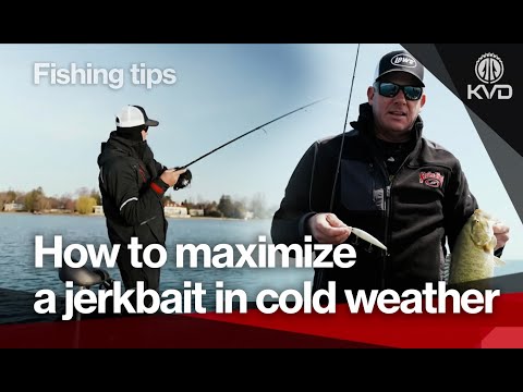 Видео: Единственная наживка, которая ловит рыбу в любое время года, включая зиму, с Кевином Ван Дамом