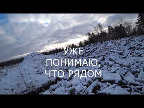 Видео: ПЕРВЫЙ СНЕГ! ТРОПИМ ЗАЙЦА!ЗАЯЦ НА 100000% ВЫСТРЕЛ!