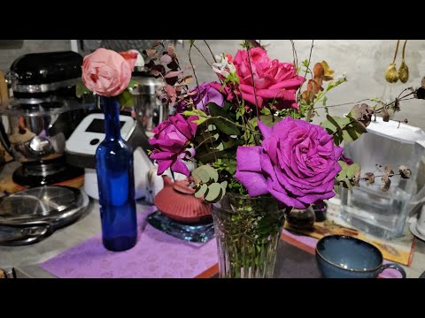 Видео: 26 октября 2025. Обзор моего осеннего сада-огорода . Опять урожай и еще розы кругом зацвели..