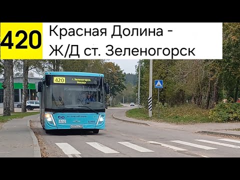 Видео: Автобус 420. Красная Долина - Ж/Д ст. Зеленогорск
