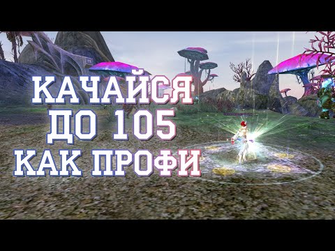 Видео: Как вернуться/начать играть/быстро прокачаться/закрыть все марафоны в пв в 2023 году на офе. Часть 1