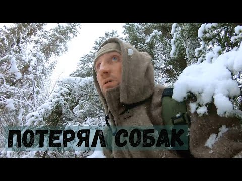 Видео: Потерял охотничьих собак! Незапланированная ночевка.