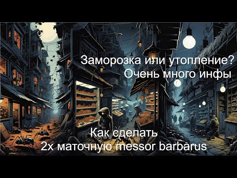 Видео: Как правильно подсаживать муравьев.