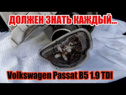 Видео: Volkswagen Passat B5 1.9 TDI Это ДОЛЖЕН ЗНАТЬ КАЖДЫЙ ВОДИТЕЛЬ!!!