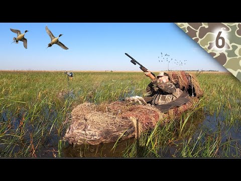 Видео: Планировка лодки «Охота на уток» в соло-стиле // День открытия 2025 года