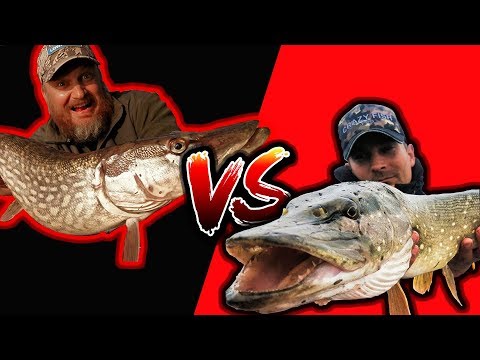 Видео: Ловля Шуки и Судака. Митюрич vs Мясников. Фиш Батл. Результаты розыгрыша.