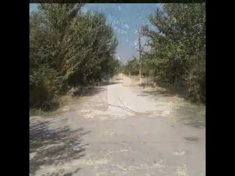 Видео: Барак айылы 2017