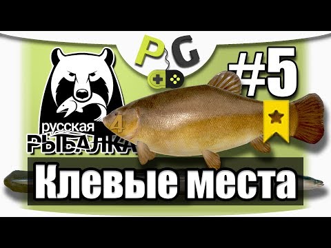 Видео: Русская Рыбалка 4 Клевые Места 5 Старый Острог, Трофейный Линь и Угорь, на Сыр и Выползка