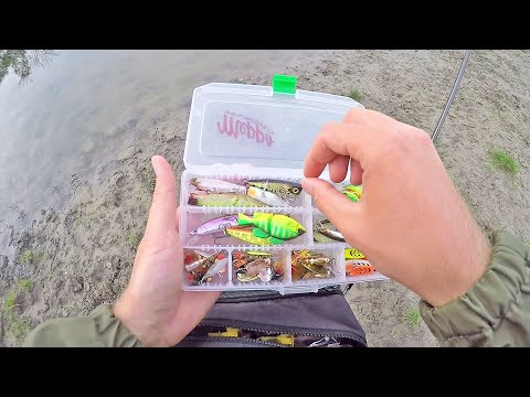 Видео: Решил ПОЛОВИТЬ РЫБУ С БЕРЕГА КАК ВСЕ ЛЮДИ и вот что из этого вышло! Рыбалка на спиннинг Ультралайт