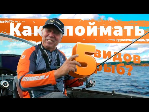 Видео: КАК поймать ПЯТЬ видов РЫБ? Ловля на кренки.