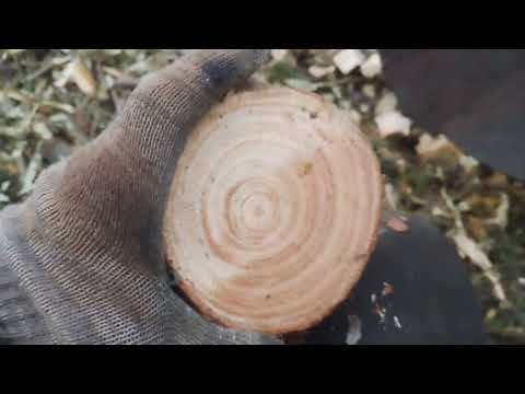 Видео: шнековый веткоизмельчитель от Дигриз