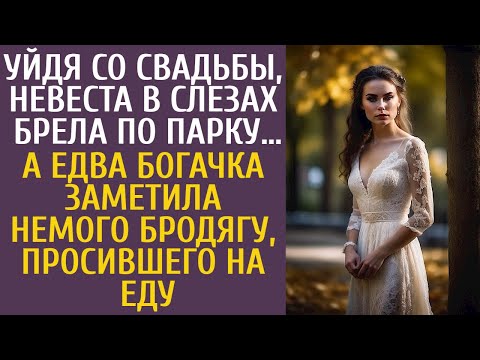Видео: Уйдя со свадьбы, невеста в слезах брела по парку… А едва богачка заметила бродягу, просившего на еду