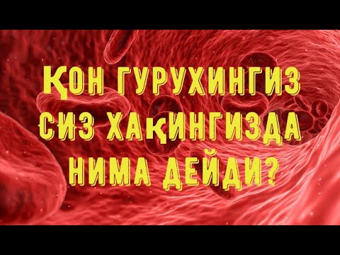 Видео: КОН гурухингиз СИЗ хакингизда нима дейди