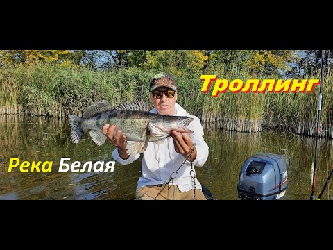 Видео: Троллинг на реке Белая (Масады)