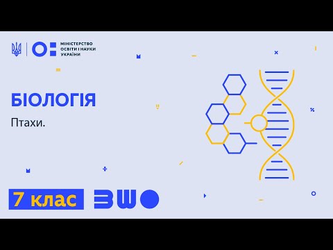 Видео: 7 клас. Біологія. Птахи